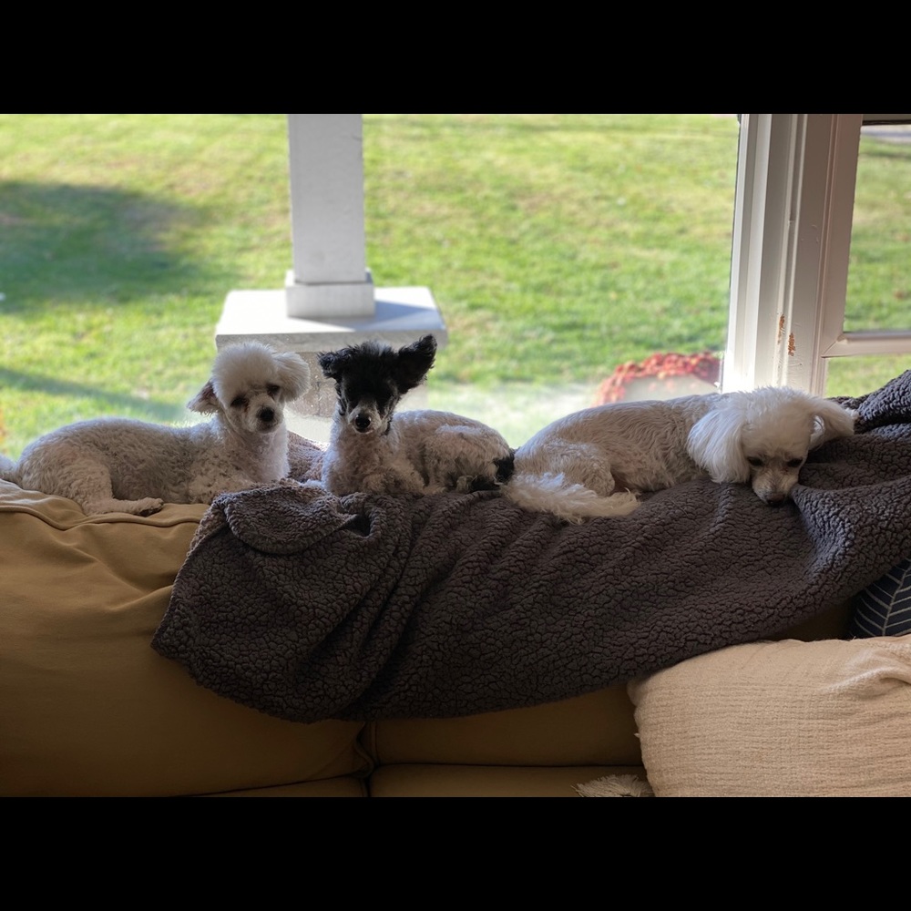 Meet your Posher, Kathy